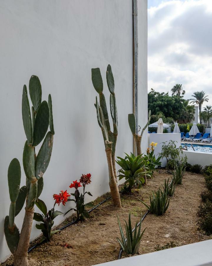 Pandream Hotel Apartments Pafos Dış mekan fotoğraf